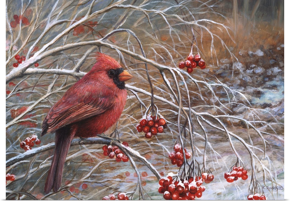 Contemporary artwork of a cardinal sitting on a branch with red berries.