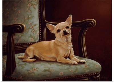 Chihuahua Chair