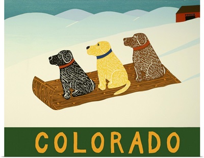 Colorado Sled Dogs