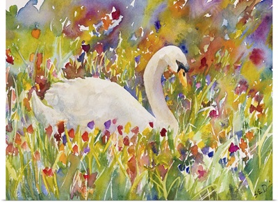 Colorful Swan