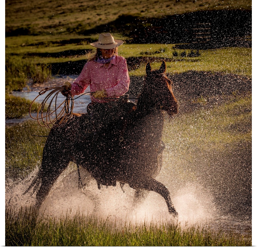 Square photograph of a cowgirl riding her horse through a stream with her lasso out.