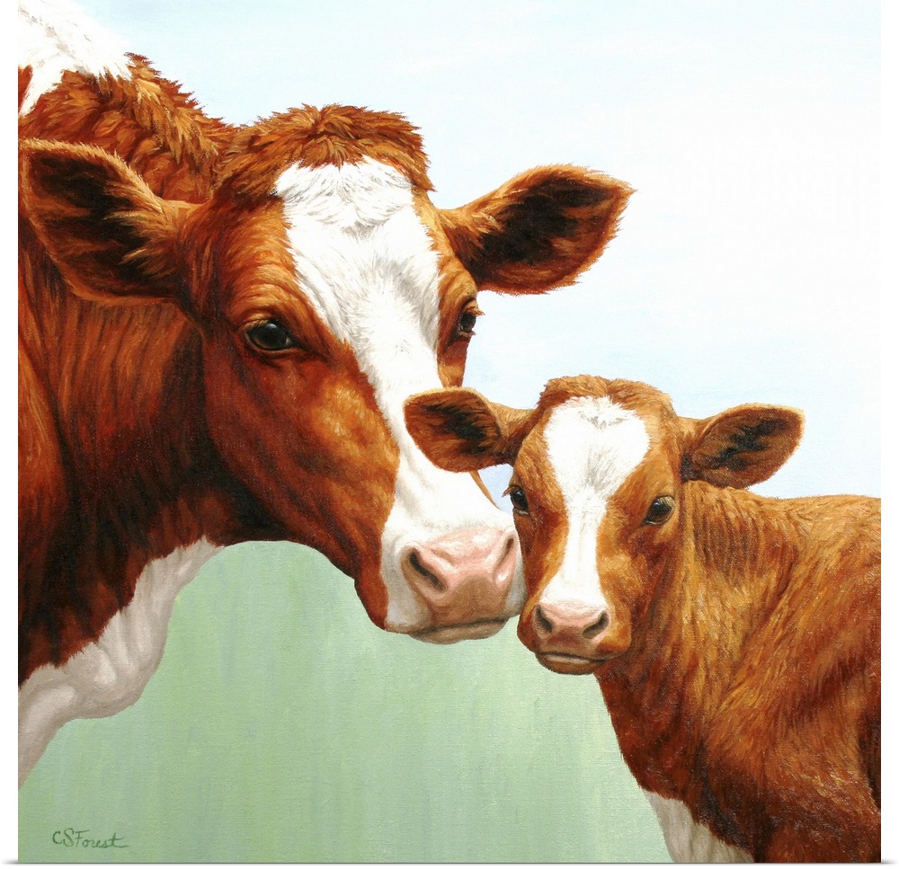 A brown and white dairy cow and her calf.