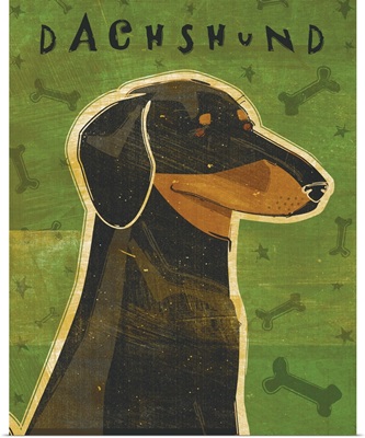 Dachshund (black and tan)