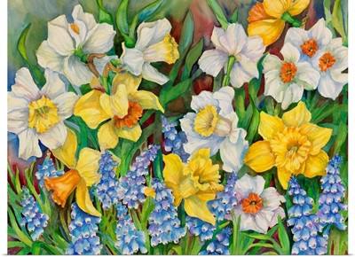 Daffodils And Grape Hyacinths