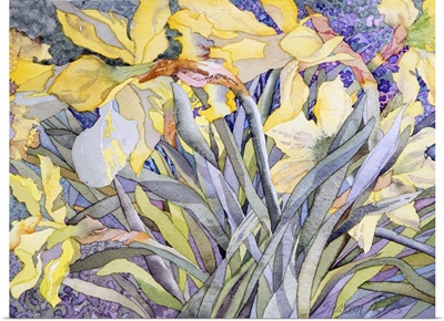 Daffodils, Van Vleck