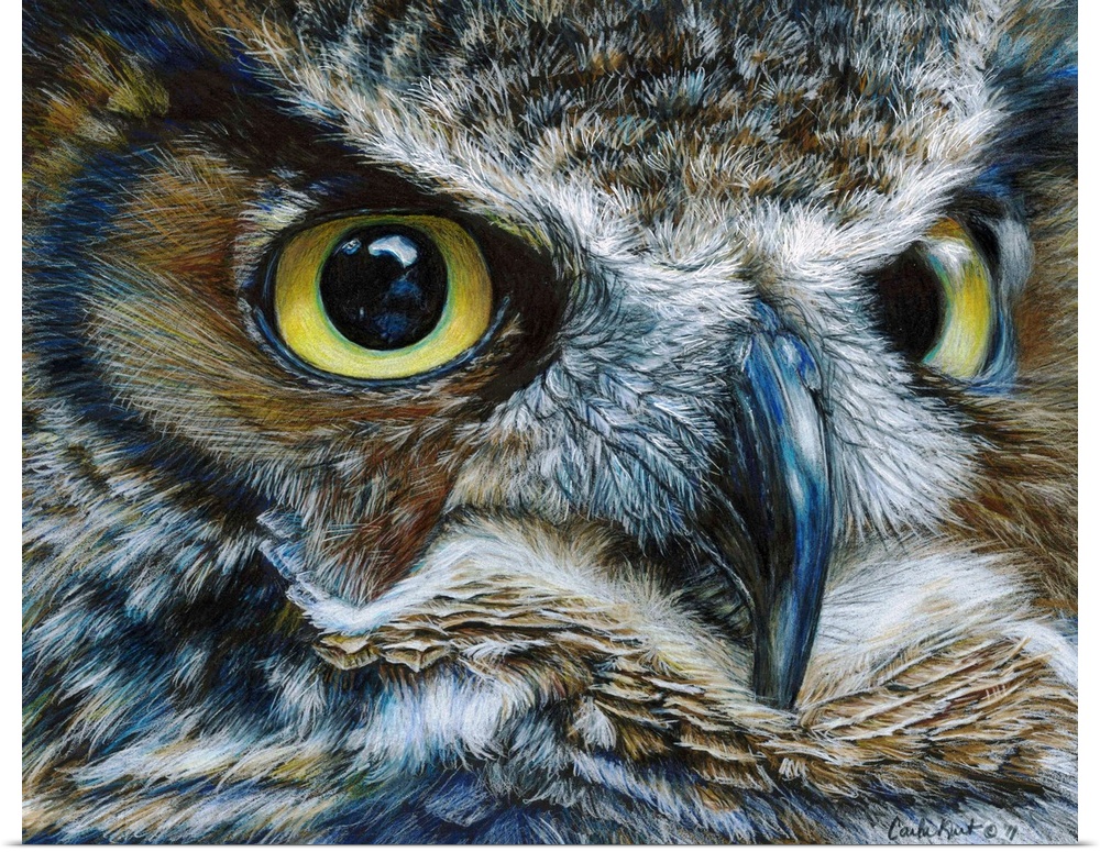 Contemporary artwork of a close-up look of an owl face.