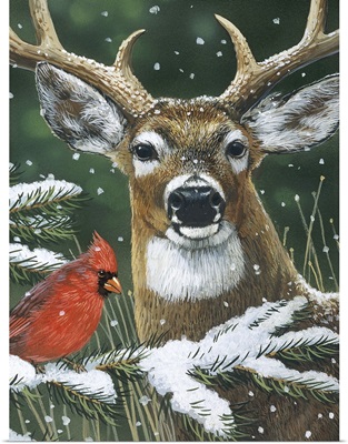 Deer With Cardinal
