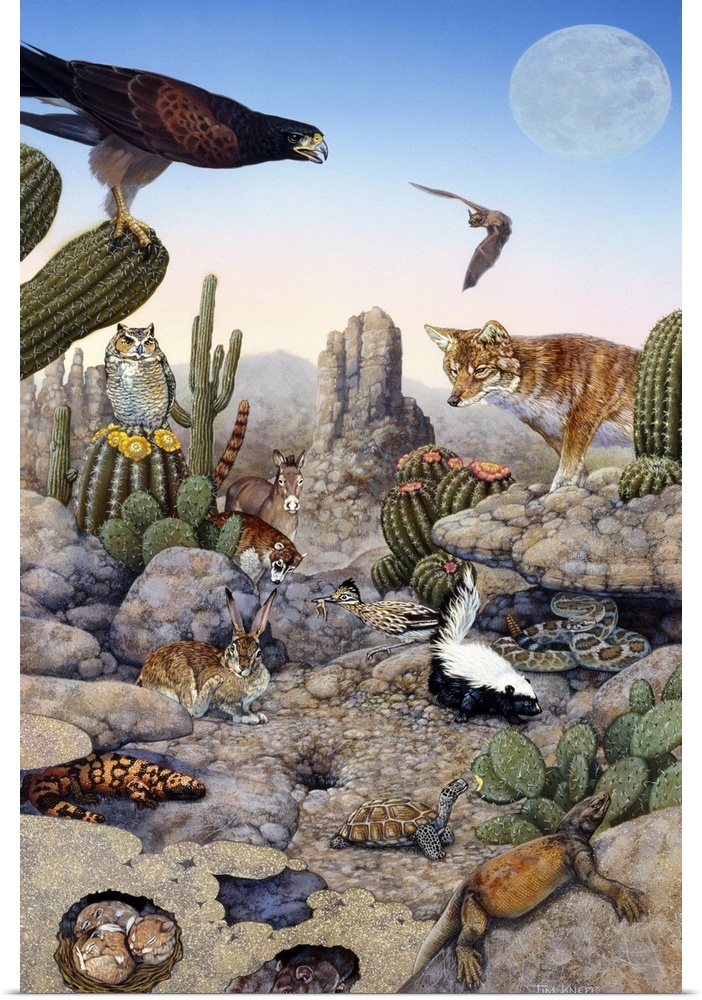 Desert scene with falcon and cactus, a fox and other desert animals