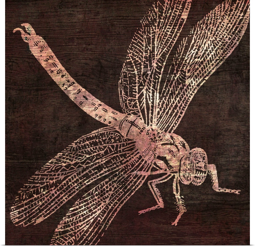 etching of dragonfly