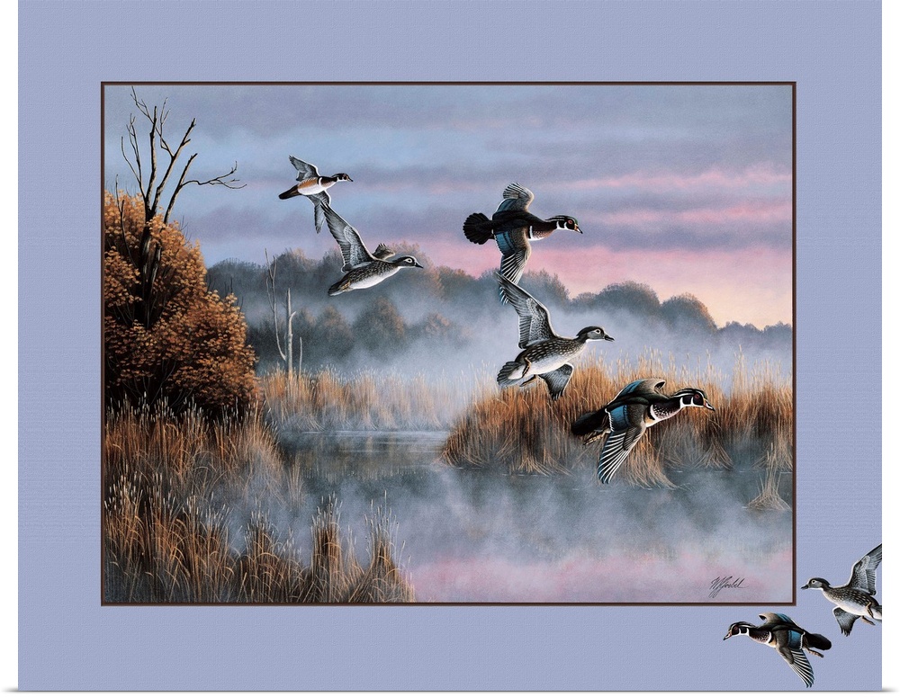 Ducks in flight on a misty morning.
