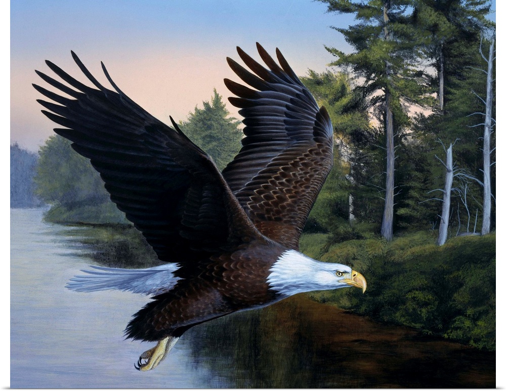 An eagle flying over the water.