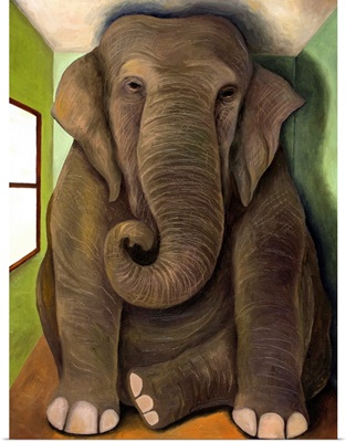 Elephant In A Room