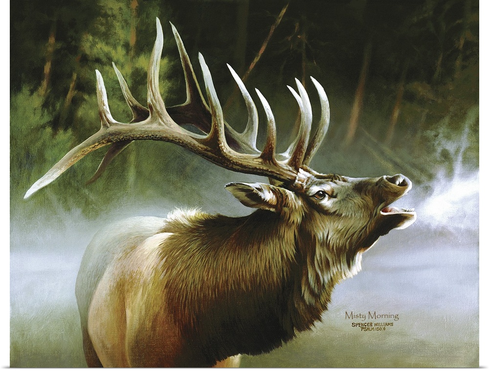 Elk In Mist
