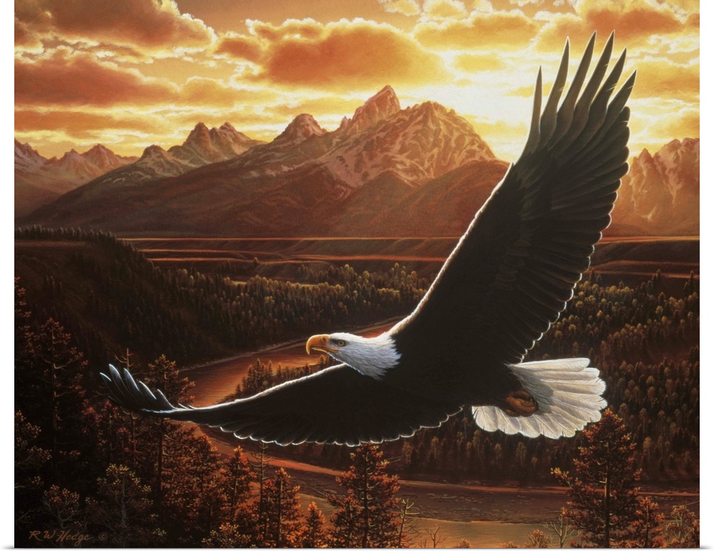 A bald eagle flies by a mountain range at sunset.