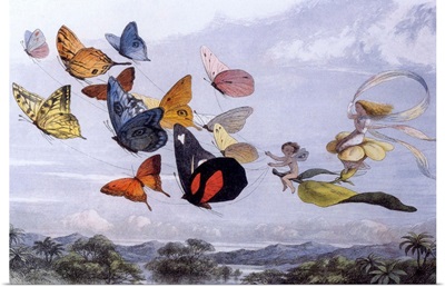 Fairy Butterflies I