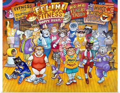 Feline Fitness