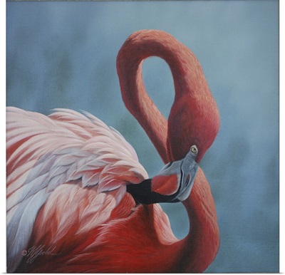 Figure 8 - Flamingo