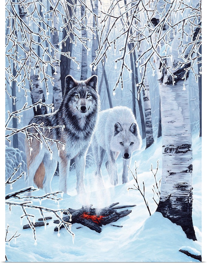 Two wolves stand under a group of birch trees, next to a  campfire, on a snow covered ground.
