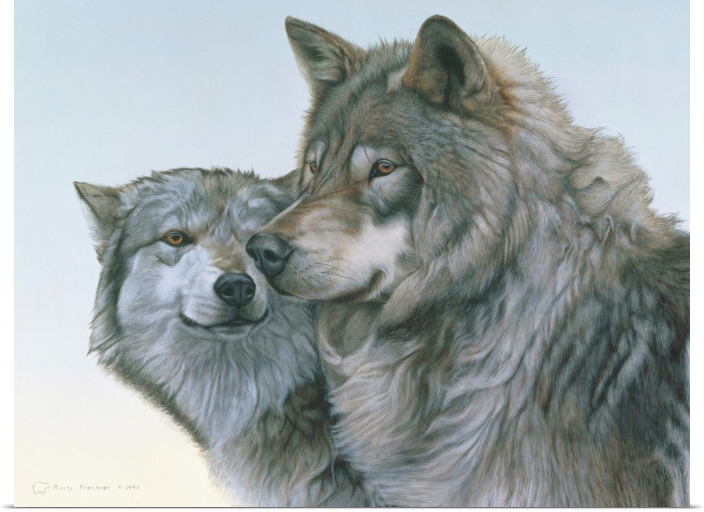 A wolf couple nuzzling, with a pale sky behind.