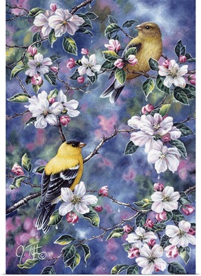 Gold Finch And Blossoms