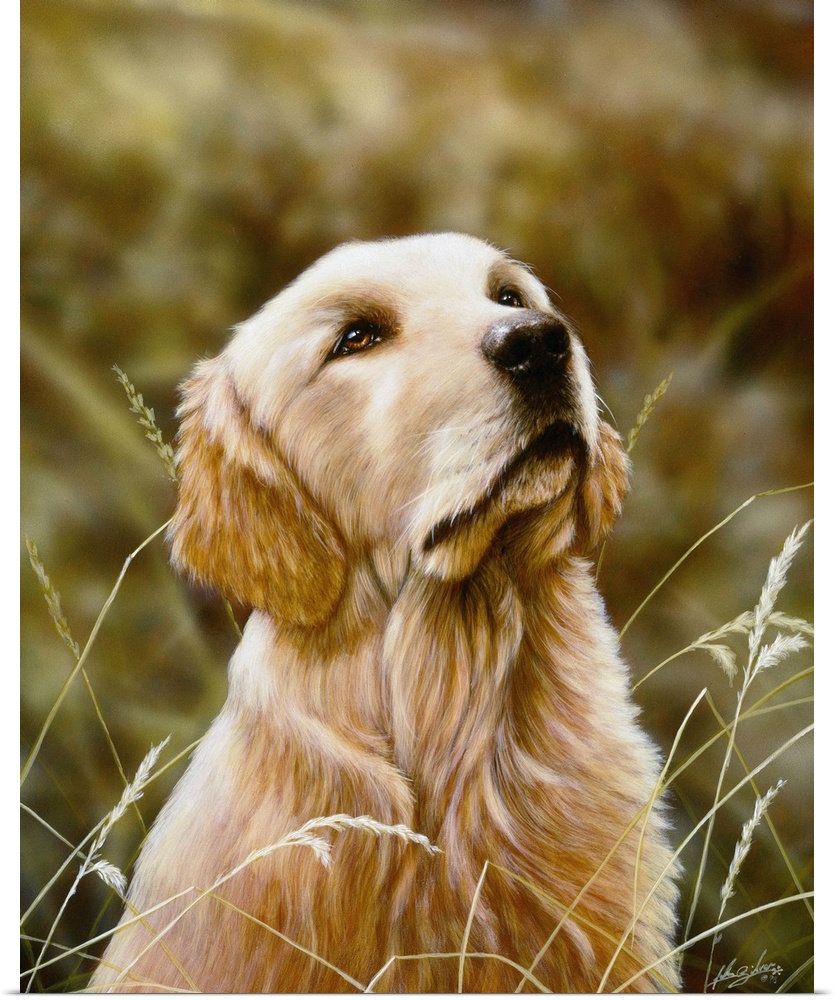 Contemporary painting of a golden retriever sitting and looking up at something.