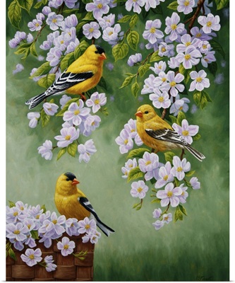 Goldfinch Blossoms