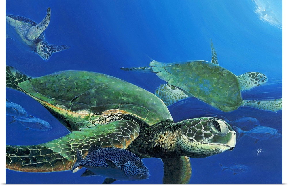 Contemporary painting of sea turtles seen swimming under water.