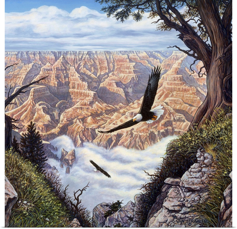 Eagles flying over a canyon.