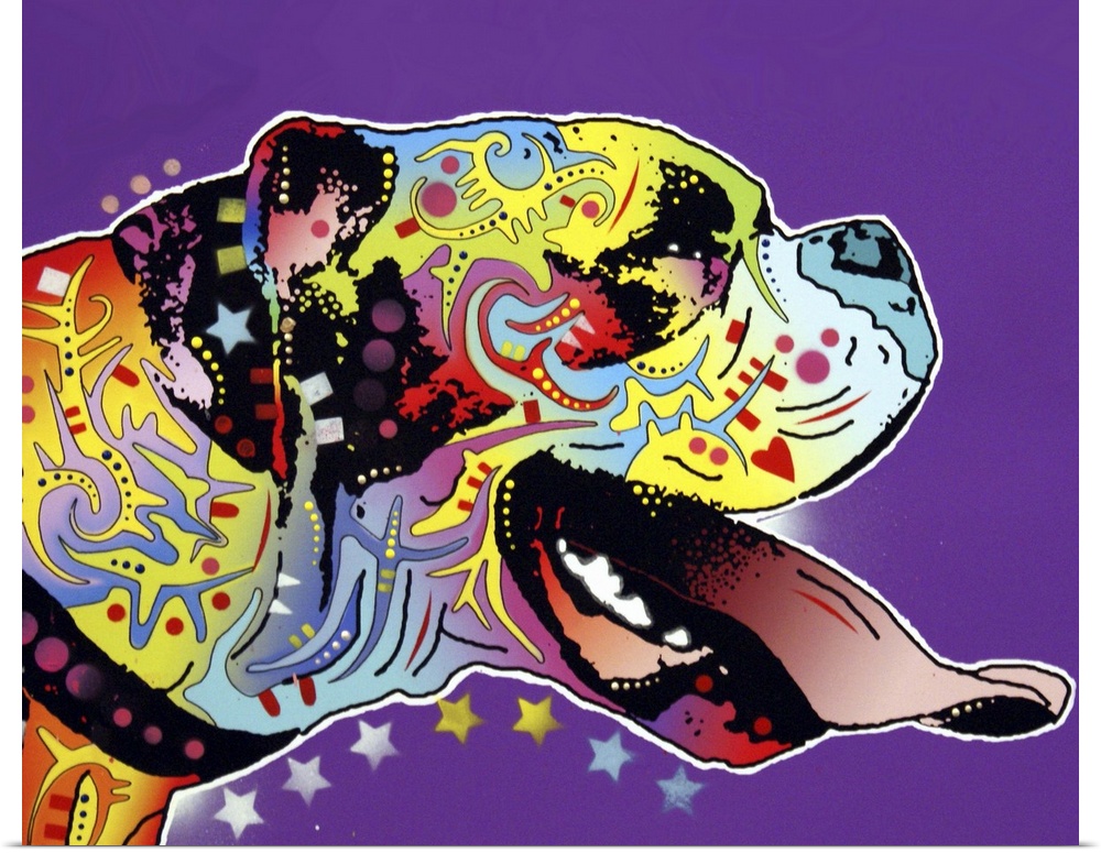 Contemporary image of a dog's outline filled with several colorful patterns.