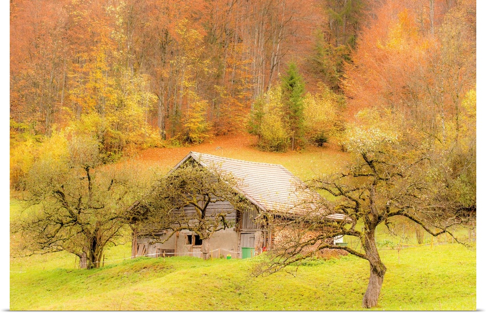 Landscape photograph of an old barn on a hill surrounded by Autumn trees.