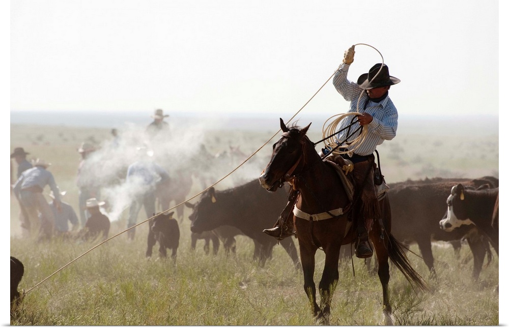 Cowboy roping the heels of a steer