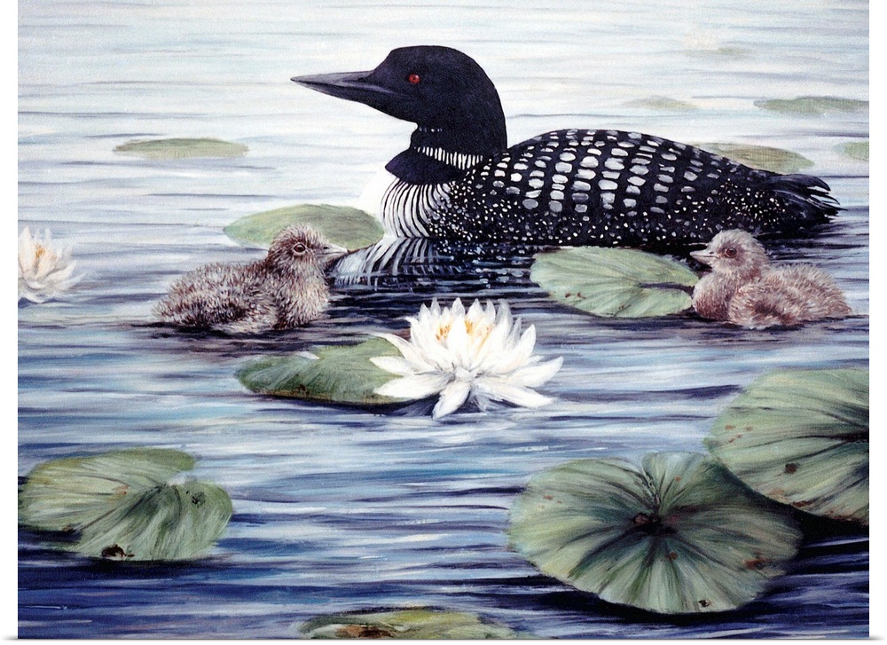 Contemporary artwork of a loon swimming among lily pads.