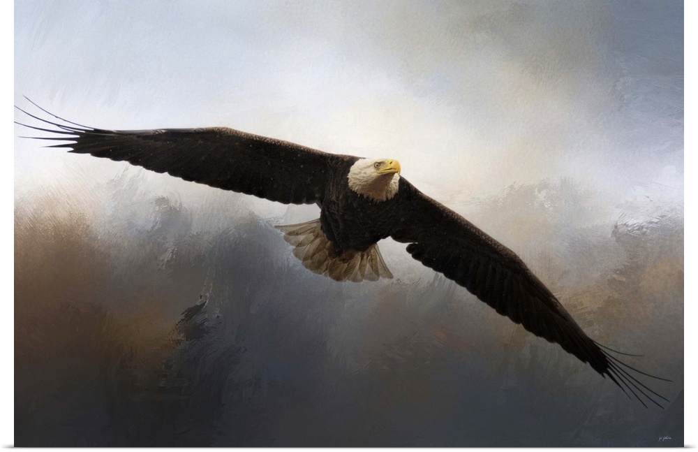 A bald eagle flies through the dark clouds.