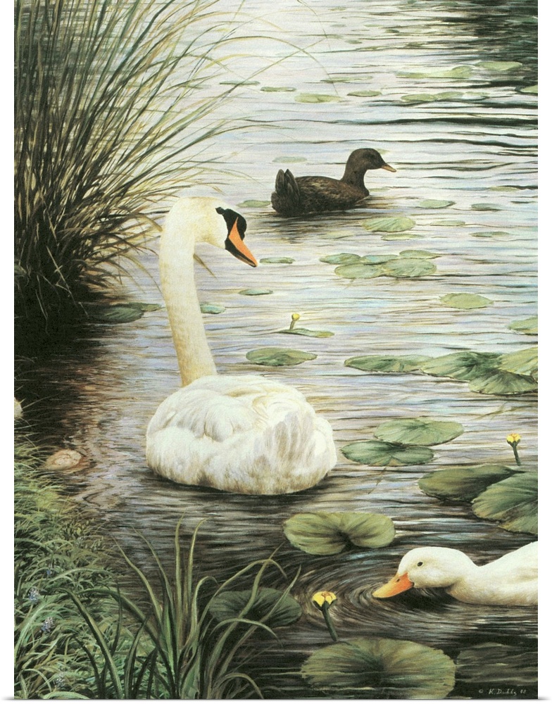Contemporary artwork of a swan and two ducks in a pond.