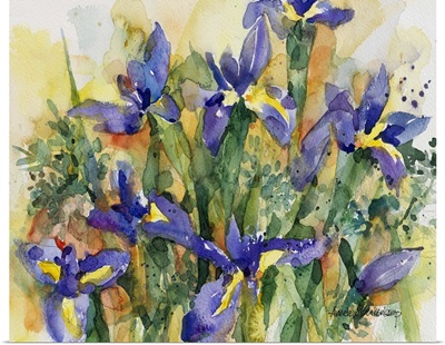 Indelible Irises