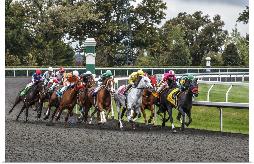 Photograph of a a horse race at full speed rounding a curve.