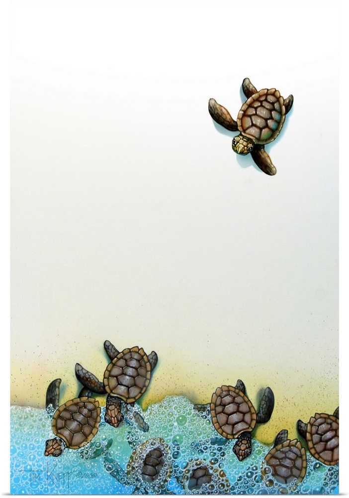 Baby sea turtles entering the ocean