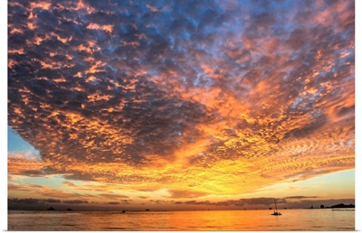 Key West Hobie Sunset