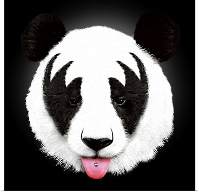 Kiss Of A Panda