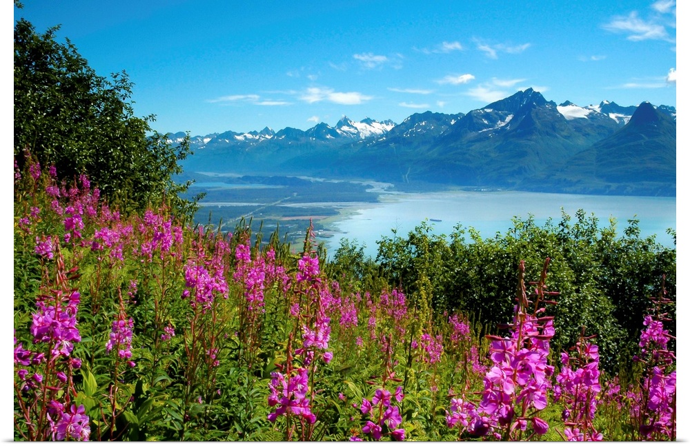 Landscape photograph from a field of pink flowers with a lake and mountains in the background.