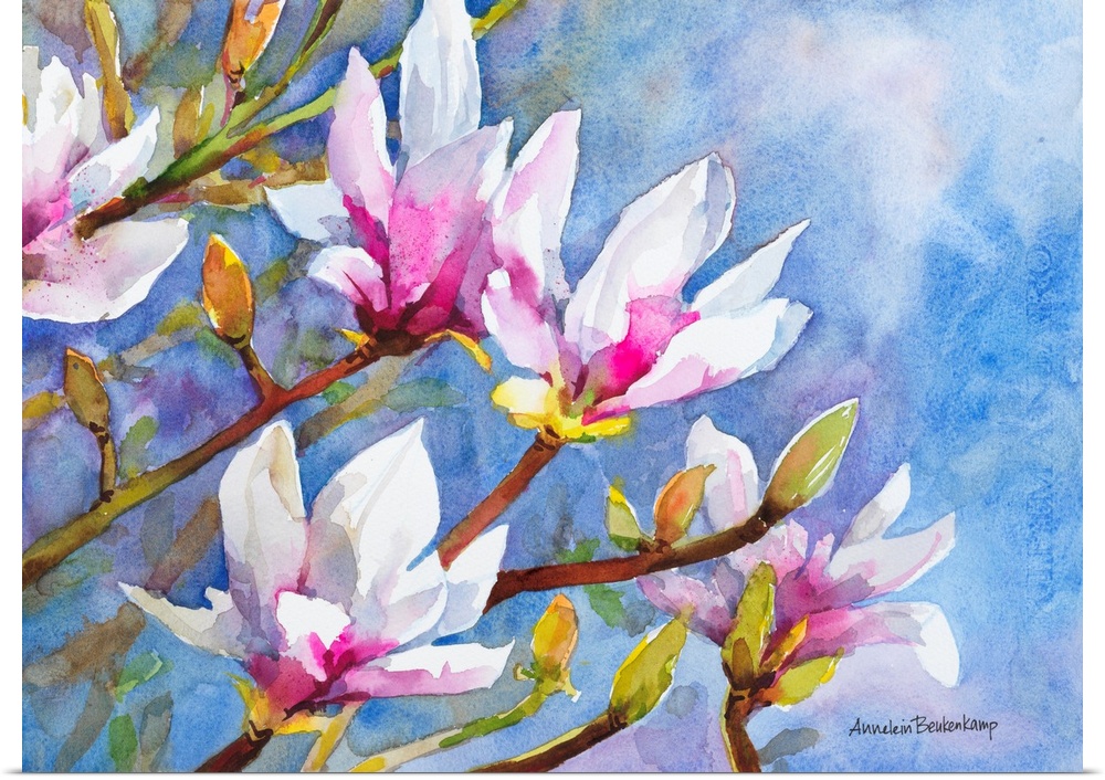 A bright summer image of light pink magnolia blossoms against a sunny blue sky