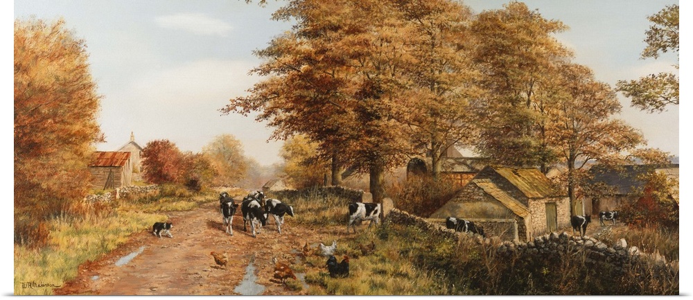 Cows and chickens on muddy dirt road by outbuildings and stone walls in fall.