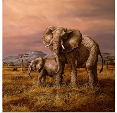 Mother and Child (Elephants)