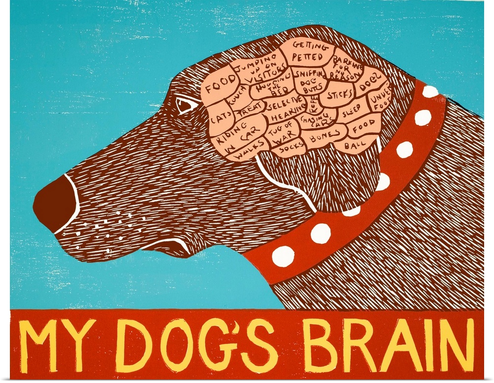 Illustration of a chocolate lab displaying its brain sectioned out into categories of things it thinks about with "My Dog'...
