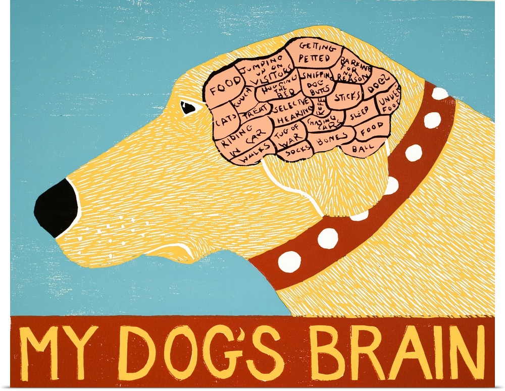 Illustration of a yellow lab showing its brain and how its brain is divided up with the phrase "My Dog's Brain" written on...