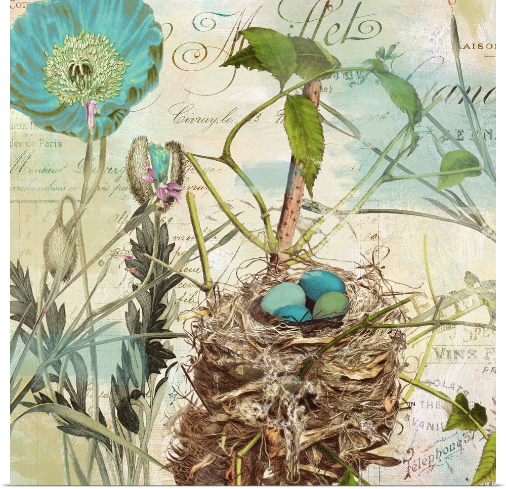 Nest with robin's egg, flowers, postage, vintage