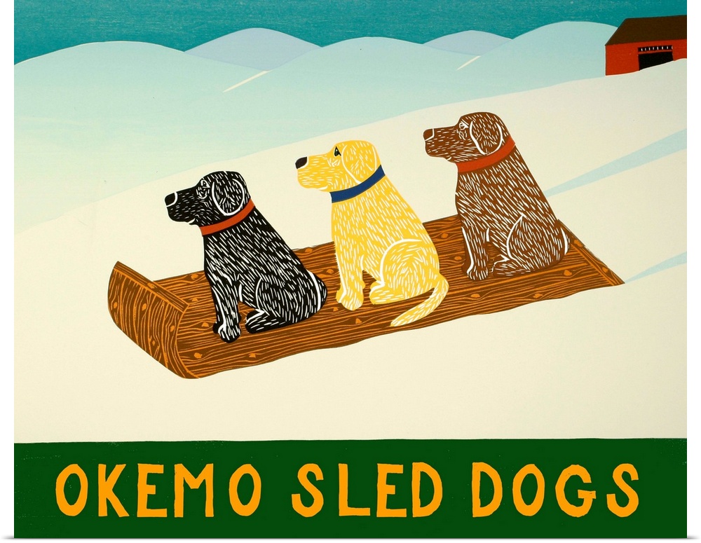 Illustration of a chocolate, yellow, and black lab sledding down the slopes with the phrase "Okemo Sled Dogs" written on t...