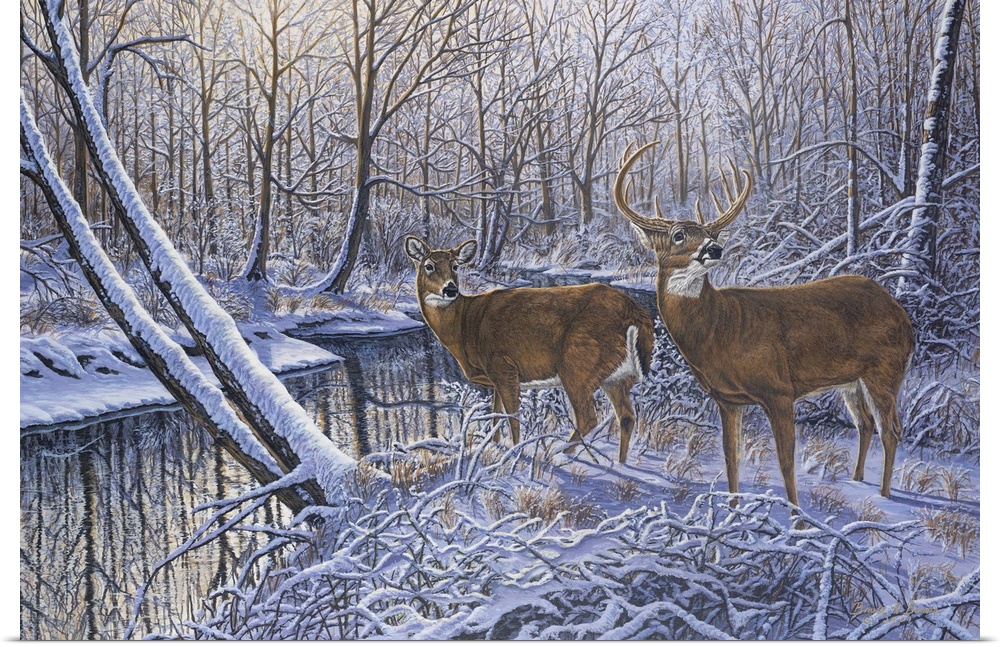 Contemporary artwork of two white tail deer about to drink from stream in wintery forest but turned around because they he...