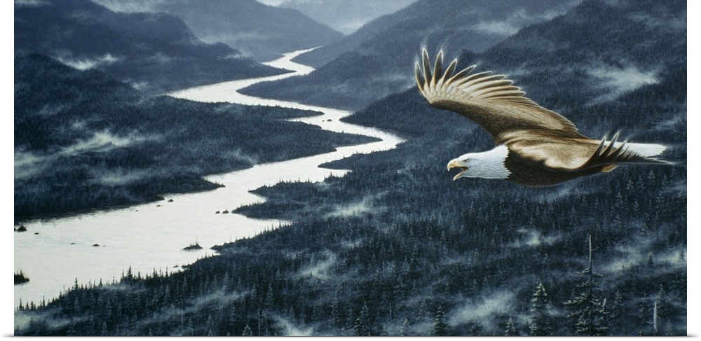 an eagle soaring over the mtns with a river running through