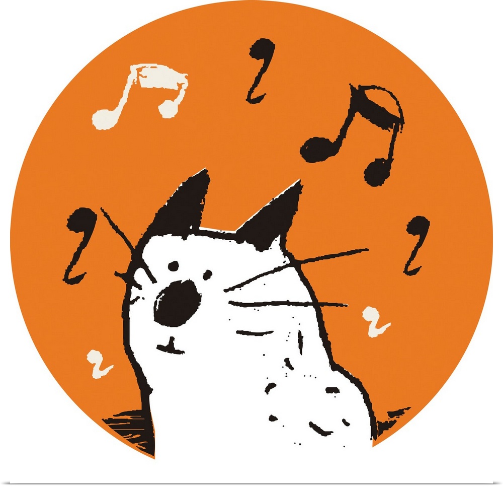 kitten, music